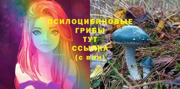 твердый Аркадак