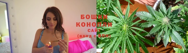 гашик Армянск